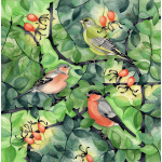 finches_in_finery_2095484431