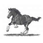 fv32-286_-_strength__nobility