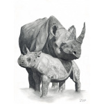 fv32-292_-_mother__baby_rhino