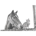 fv32-297_-_unlikely_friends_513916109
