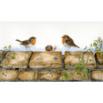 garden-birds-paintings-robin-your-or-mine-suzanne-perry-art-074