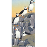 gh39-188-farne_island_puffins_841067941