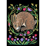 gh50-366_____nouveau_hare_1593863017