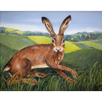 gh50-372_-_green_fields_hare