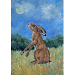 gh50-414-looking_at_the_moon