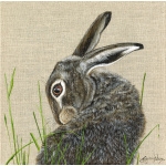 hare-bonnie-spart-416_copy_917151484