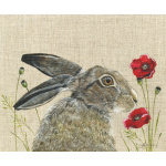 hare_-_poppy-canvas-314_website_1946531606