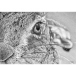 i_see_you_649356290
