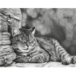 land_of_nod_1366201445