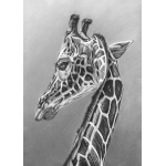 lg28-005_-_giraffe
