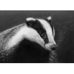 lg28-014_-_badger