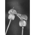 lg28-027_-_harvest_mice_on_poppyheads