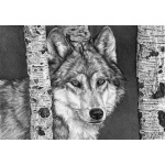 lone_wolf_117532586