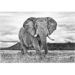 lord_of_the_plains_1310320926
