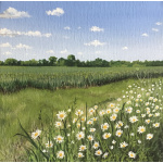 lt88-014