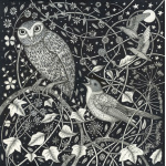 ng29-003_-_the_owl_and_the_nightingalee