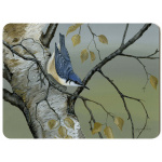 nuthatch_292x216_placemat_spart_385_copy
