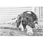 post_walk_chillout_632319727