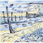shoreline_walk