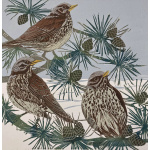 smw93-046-fieldfares_in_snow1_854031313