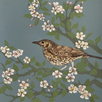 smw93-066-blossom