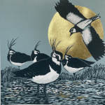 smw93-069_-_golden_hour