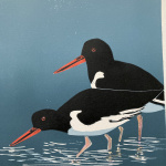 smw93-078_-_shallow_water