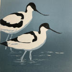 smw93-081_-_tidal_companions