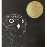 smw93-092_moon_owl