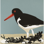 smw93_-_044_-_oystercatcher_30x30
