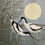 smw93_-_062_-_avocets_s_morning_50x50