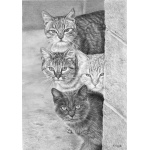 strength_in_numbers_1087548043