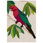 th64-094_-_parrot_16x12