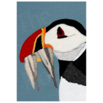 th64-101_-_puffin-sand_eels_20x16