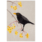 th64-119__-_blackbird_16x12