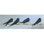 visiting-birds-paintings-swallows-summertime-suzanne-perry-242_1735371890