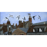 visiting-birds-rooftops_and_chimney_pots-spart-437_1034944972
