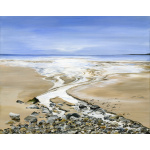 water-and-coastal-dunlin-sanderlin-shimmering-sea-spart-393_755281628