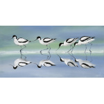 water-and-coastal-quartet-spart-438