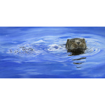 water-and-coastal-ripple-otter-spart-412_copy_593567796