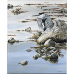 water-and-coastal-still-waters-heron-spart-431