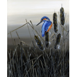 water-and_coastal-king-of-the-reeds-spart-413_1473099827